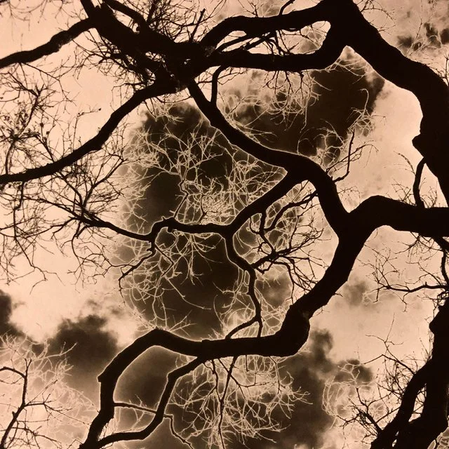 course-image_darkroom-special-effects_ww_10-24-25-2026_11.jpg