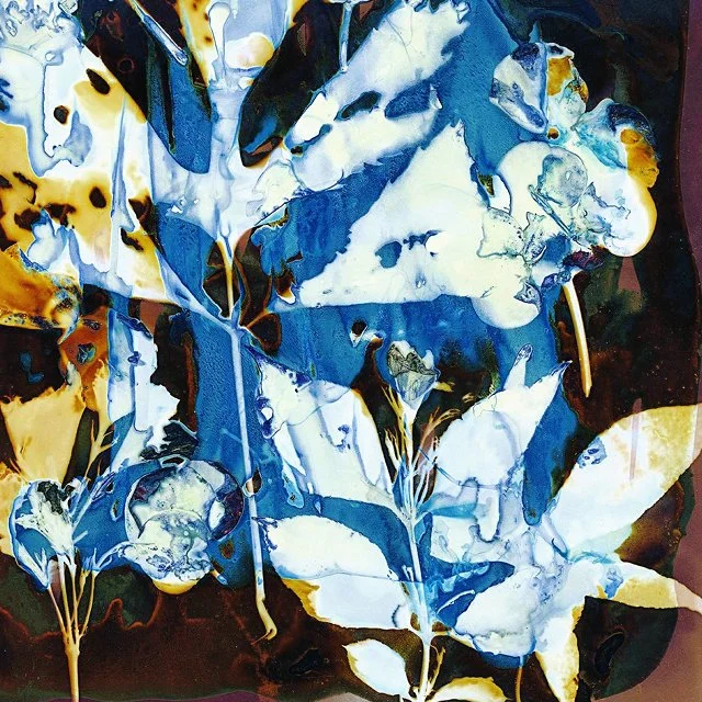 course-image_cyanotypes_april-2026_13.jpg