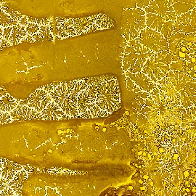 course-image_alternative-darkroom_february-2025_4.jpg