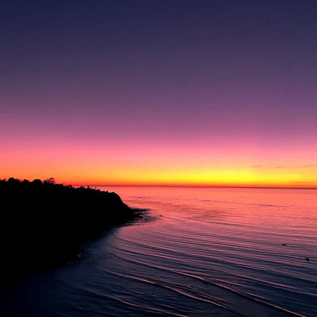 course-image_the-color-of-la_aug-2026_11.jpg
