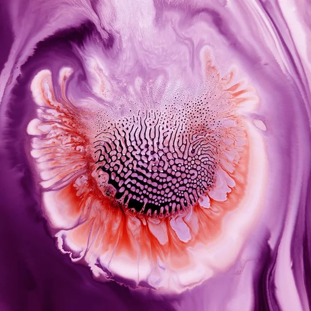 Magnetic Liquid / January / Online Class