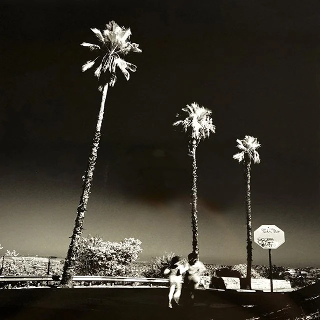 course-image_film-fundamentals_workship_dec-5-6-2026_8.jpg
