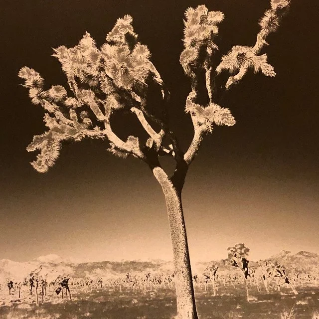 course-image_darkroom-special-effects_ww_10-24-25-2026_15.jpg