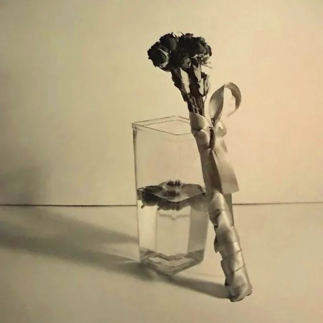 course-image_still-life-of-film_10-2026_12.jpg