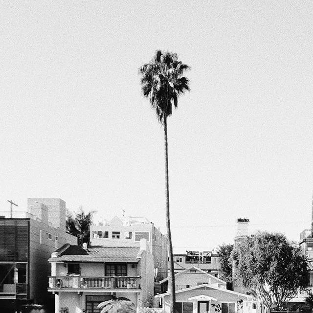 course-image_minimal-to-surreal_10-2026_12.jpg
