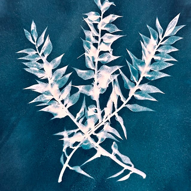 course-image_cyanotypes_april-2026_15.jpg