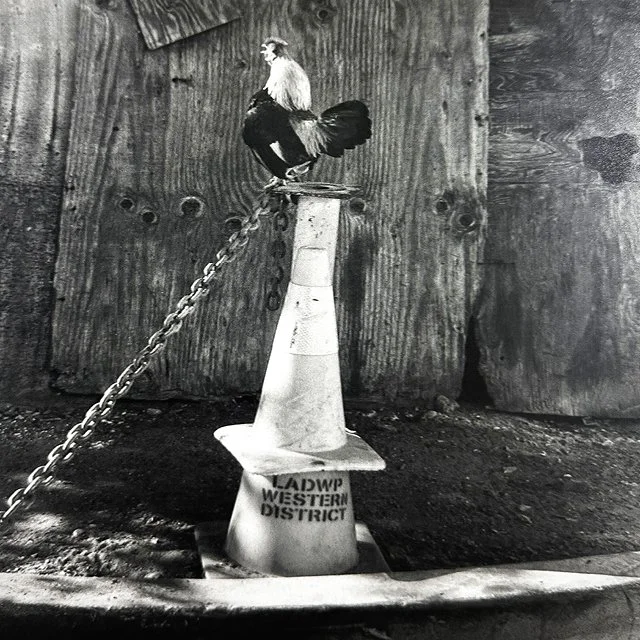 course-image_film-forever_aug-22-23-2026_8.jpg