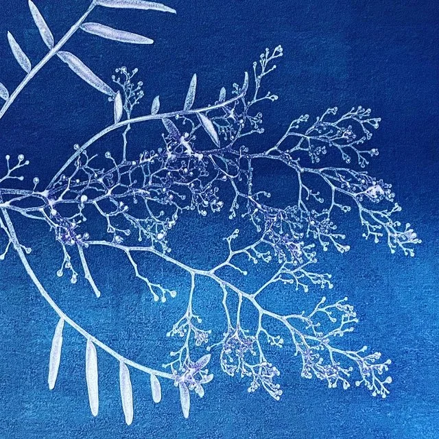 course-image_cyanotypes_april-2026_10.jpg