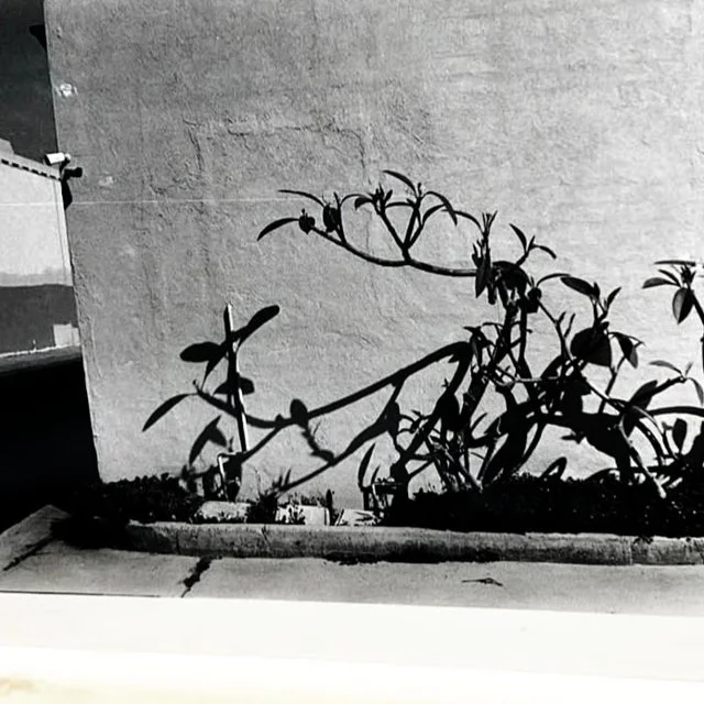 course-image_film-forever_aug-22-23-2026_11.jpg