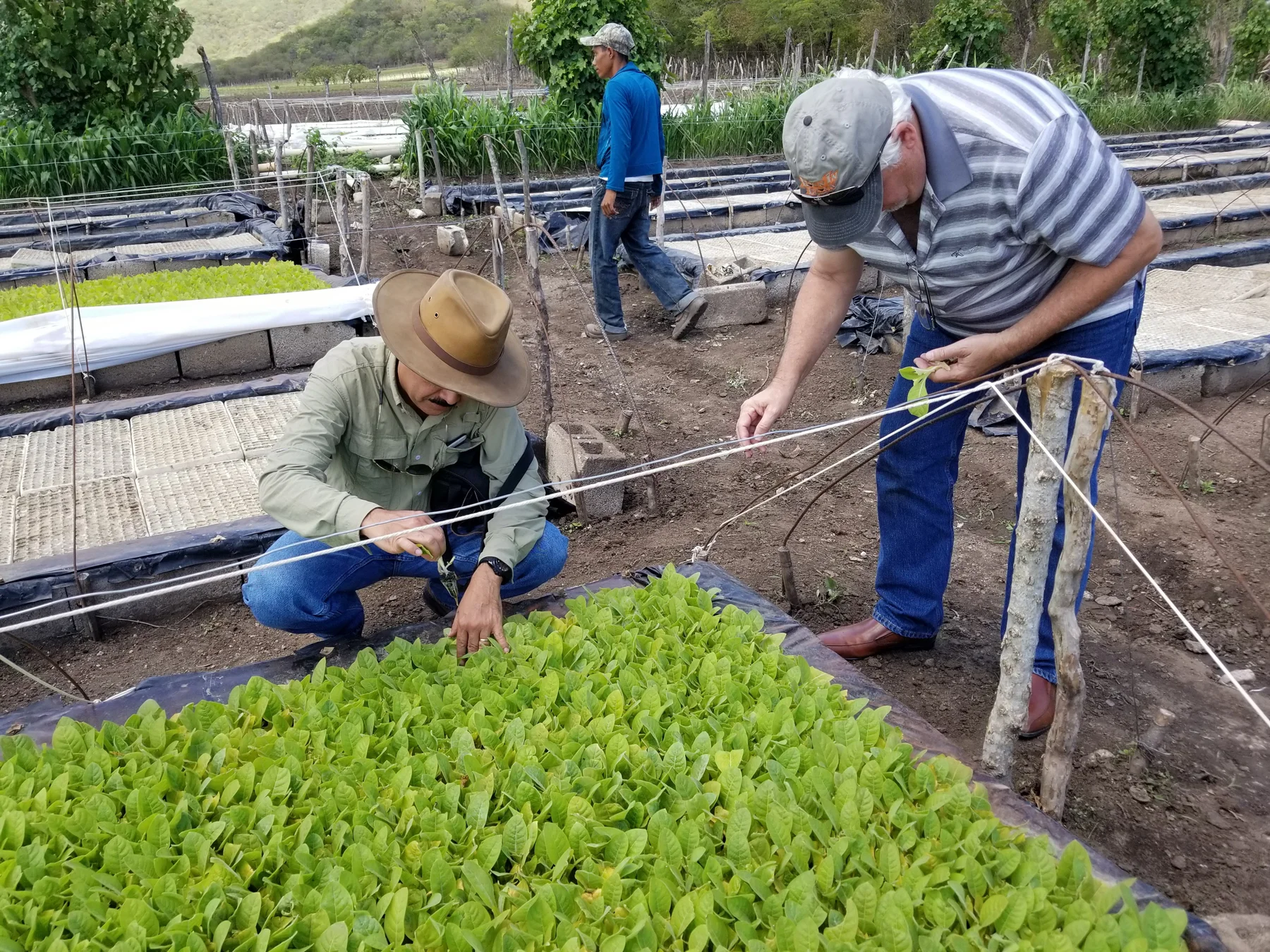 20180830_105127wb.jpg
