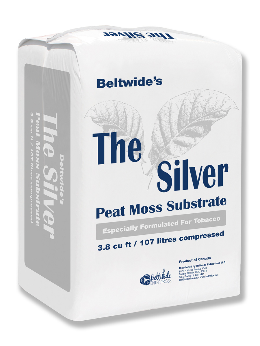 G0810-Beltwide---THE-SILVER---B_wb.jpg