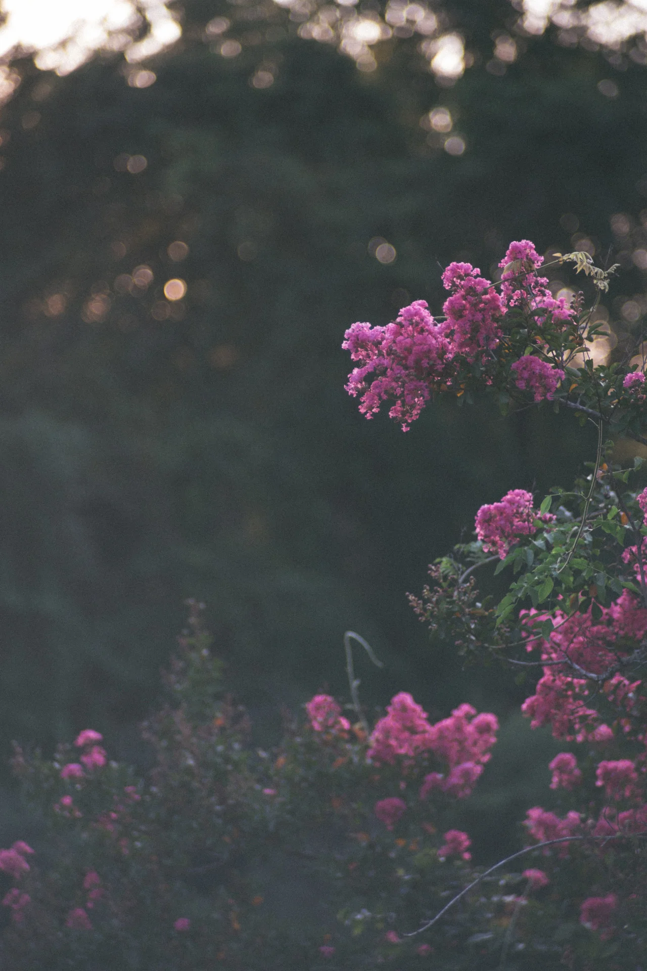 “If you can dream—and not make dreams your master; If you can think—and not make thoughts your aim;”