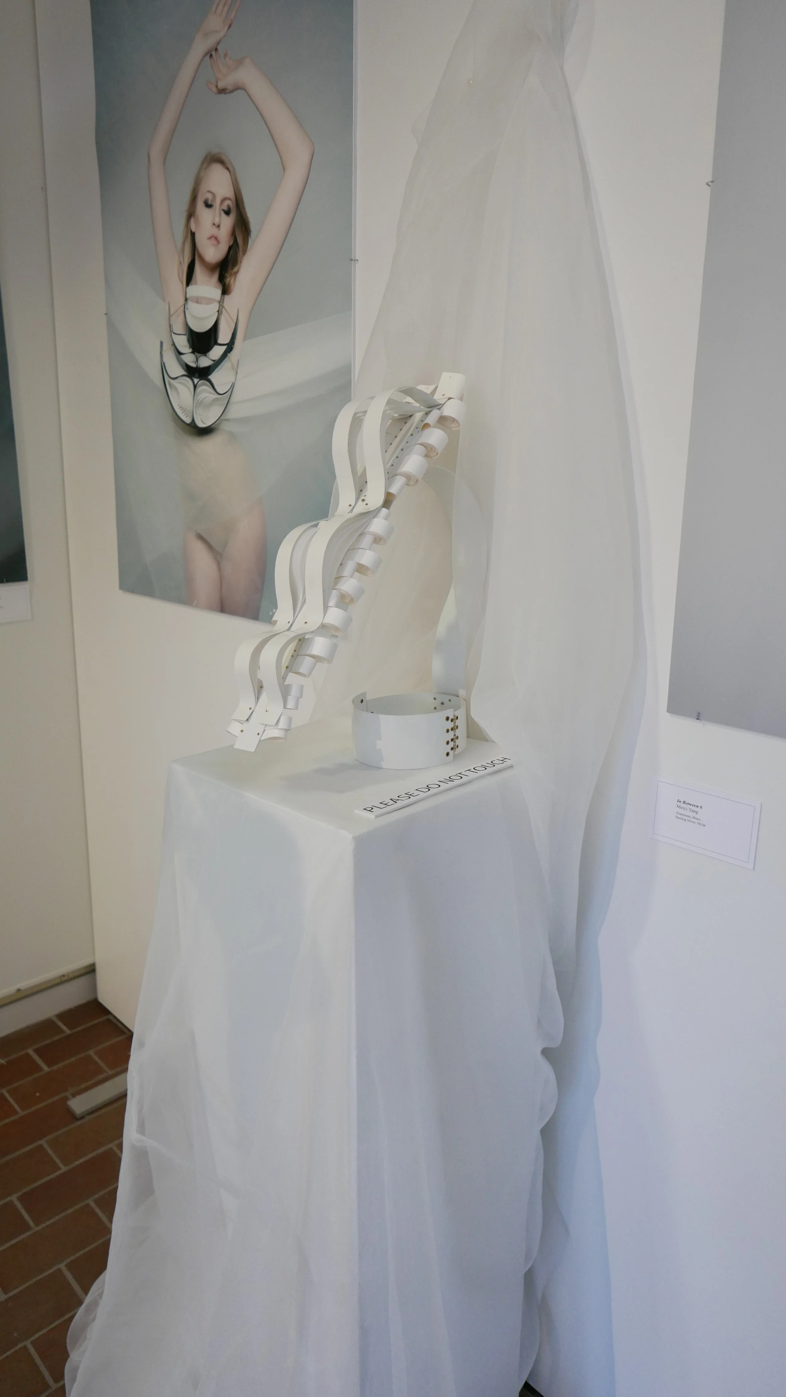 P1000844.JPG