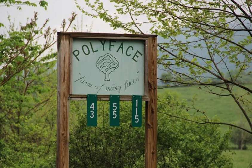 Polyface Farms, Inc - Pure Meadow Lane, Swoope, VA