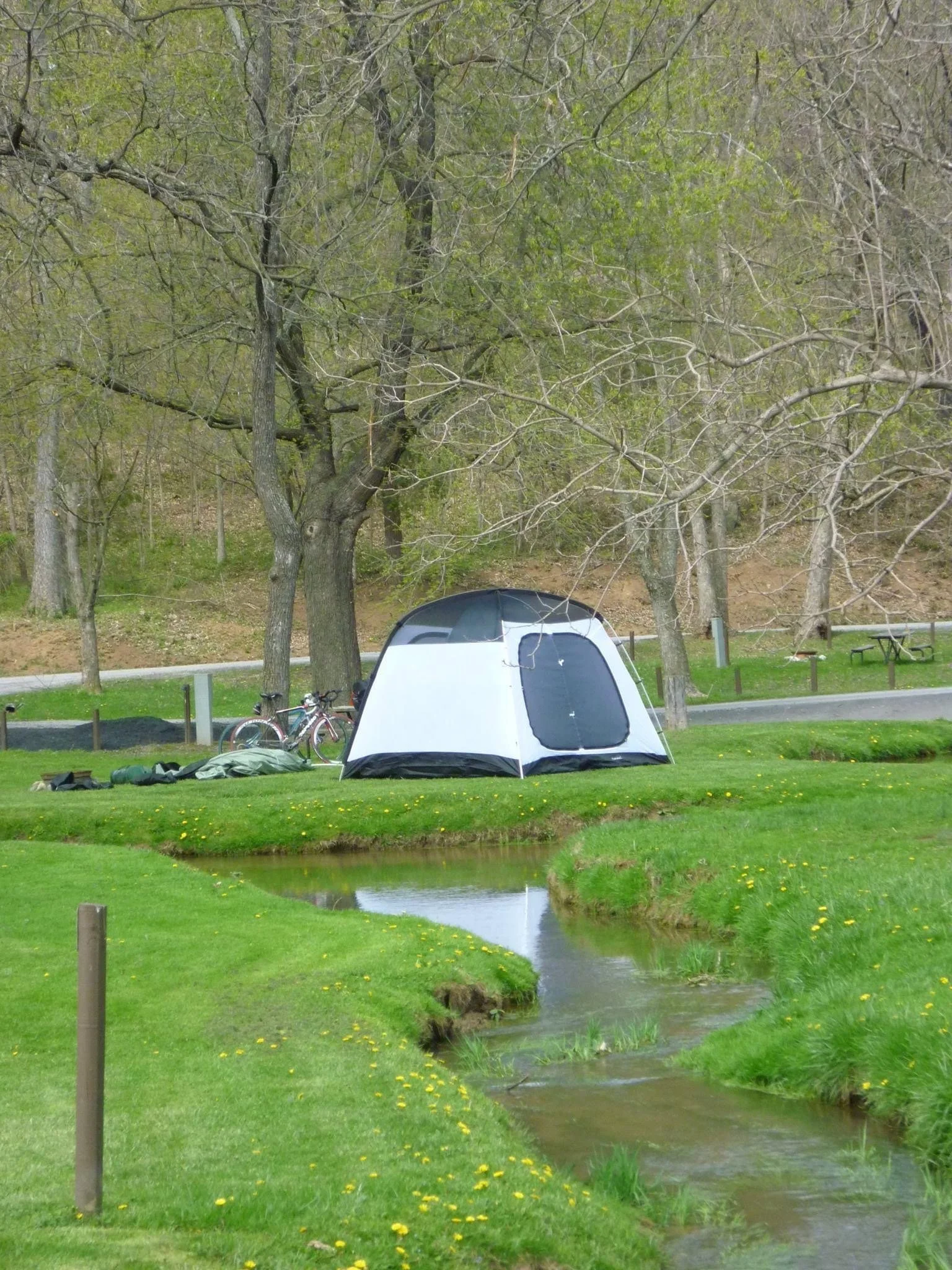 Creekside Tent.JPG