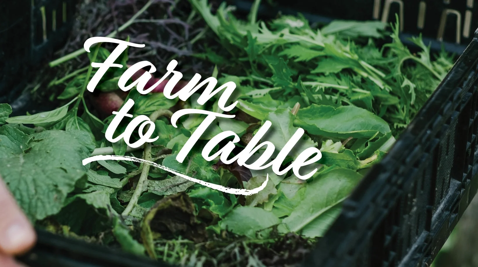 Farm to table.jpg