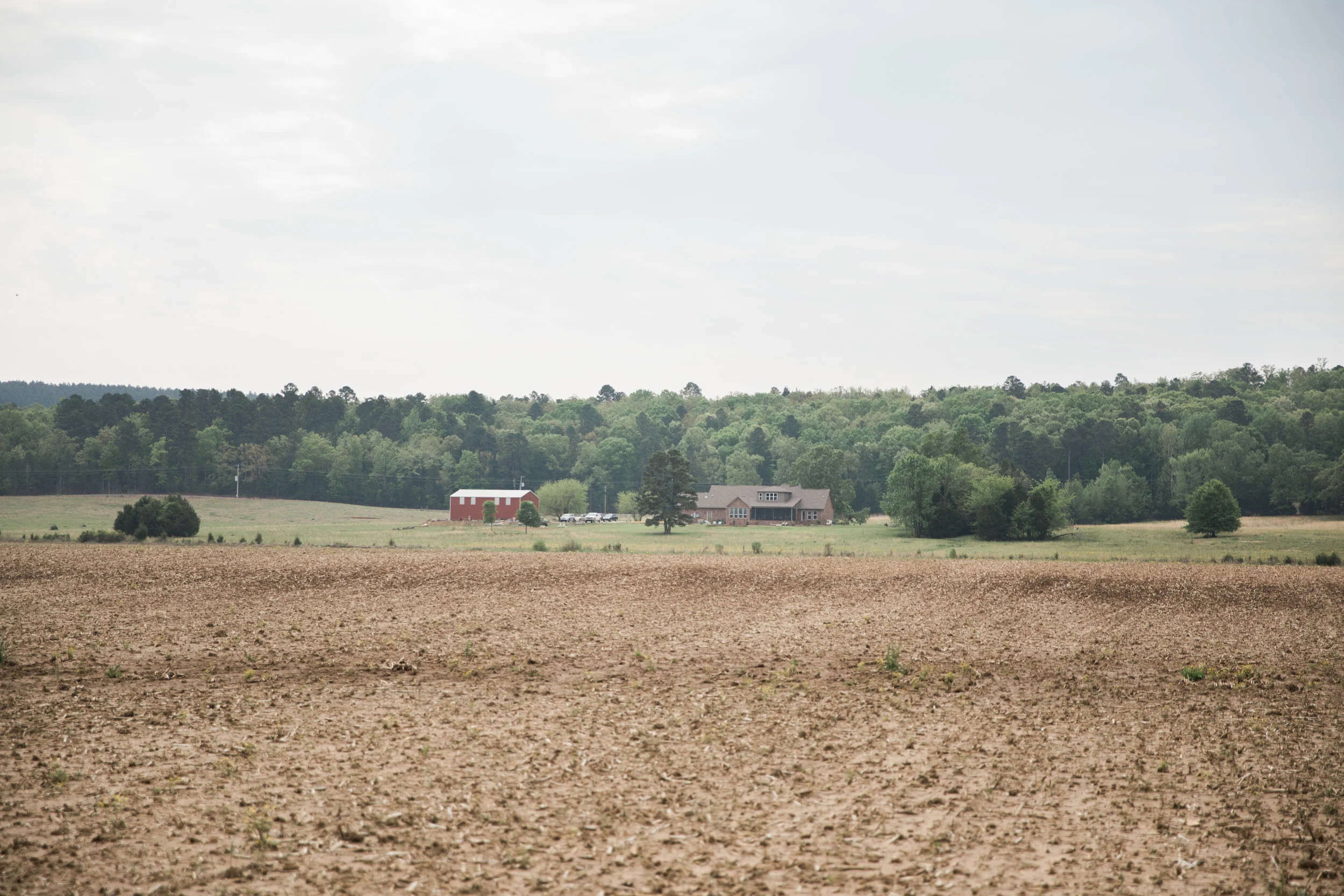 The Thrash’s home looks out over one of their fields.