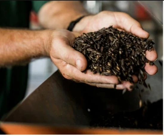 It takes a huge amount of sunflower seeds to create each bottle of oil. The oil is produced in Scott, and even the bottles are labeled in-house.
