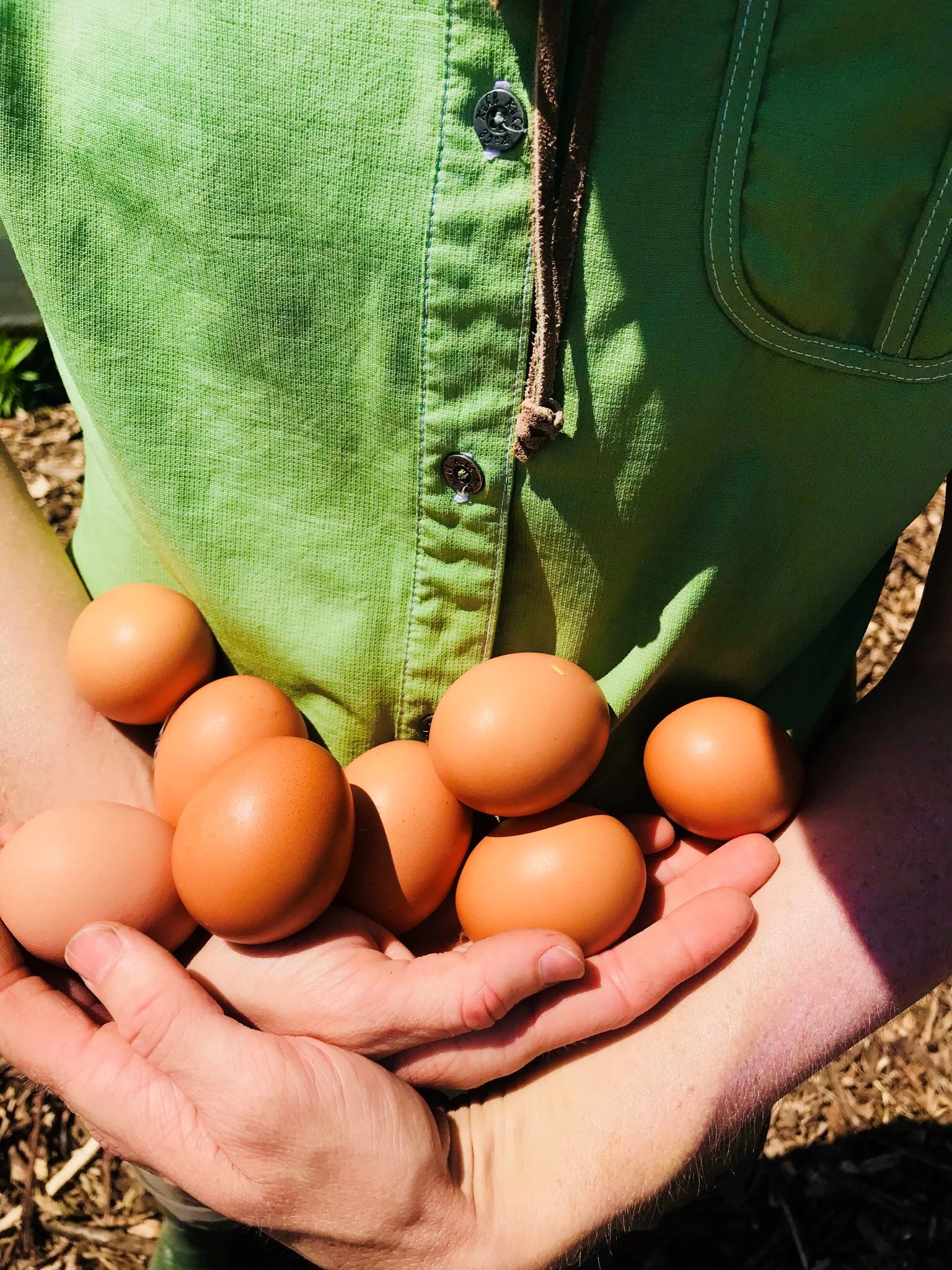 A farmer cradles a clutch of fresh eggs.
