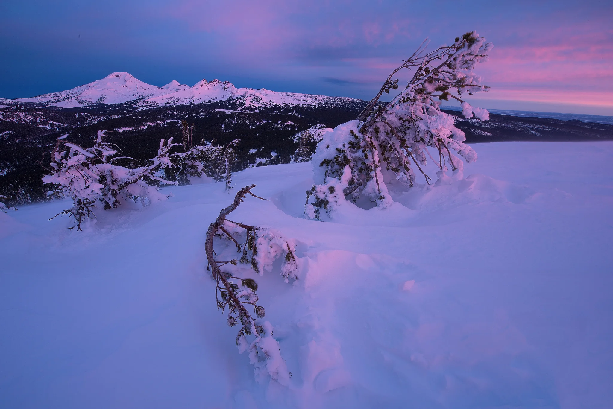 pink morning.jpg