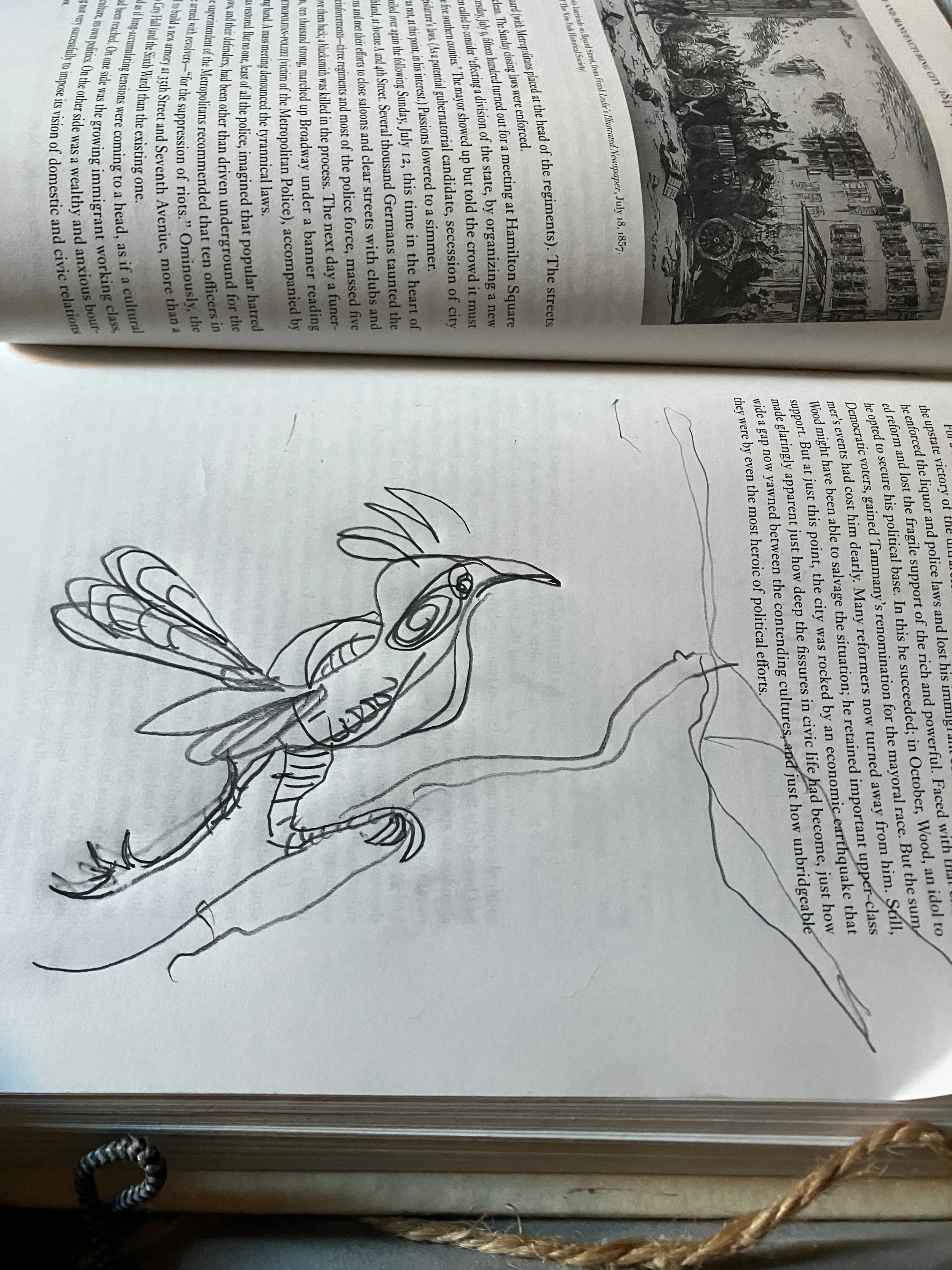  Totopilton:Sacred and Satirical, the In between-ness, snake conqueror