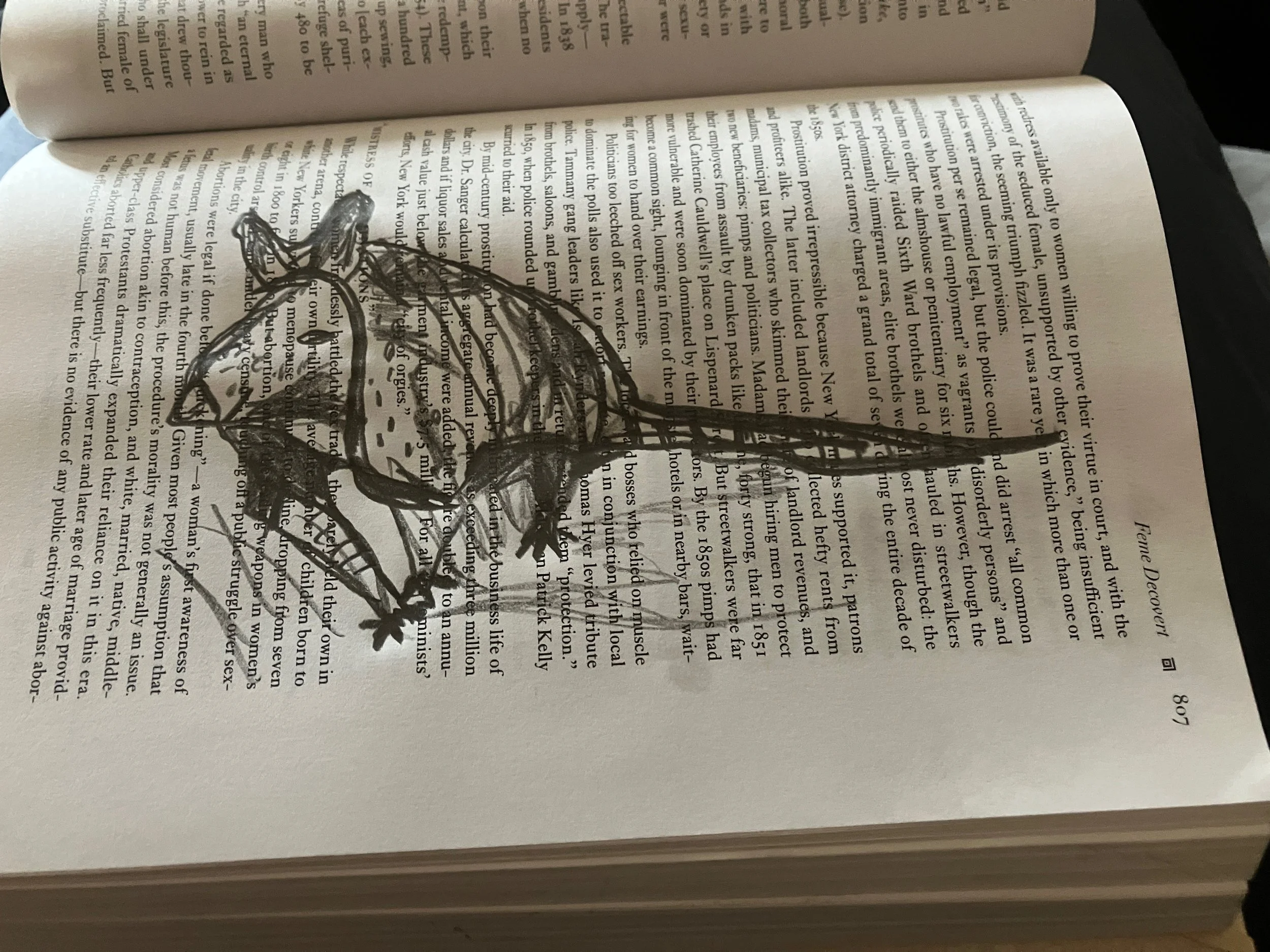  Ayotl/ AyotzinExposed Armor , protected yet confined ,a vessel for sound