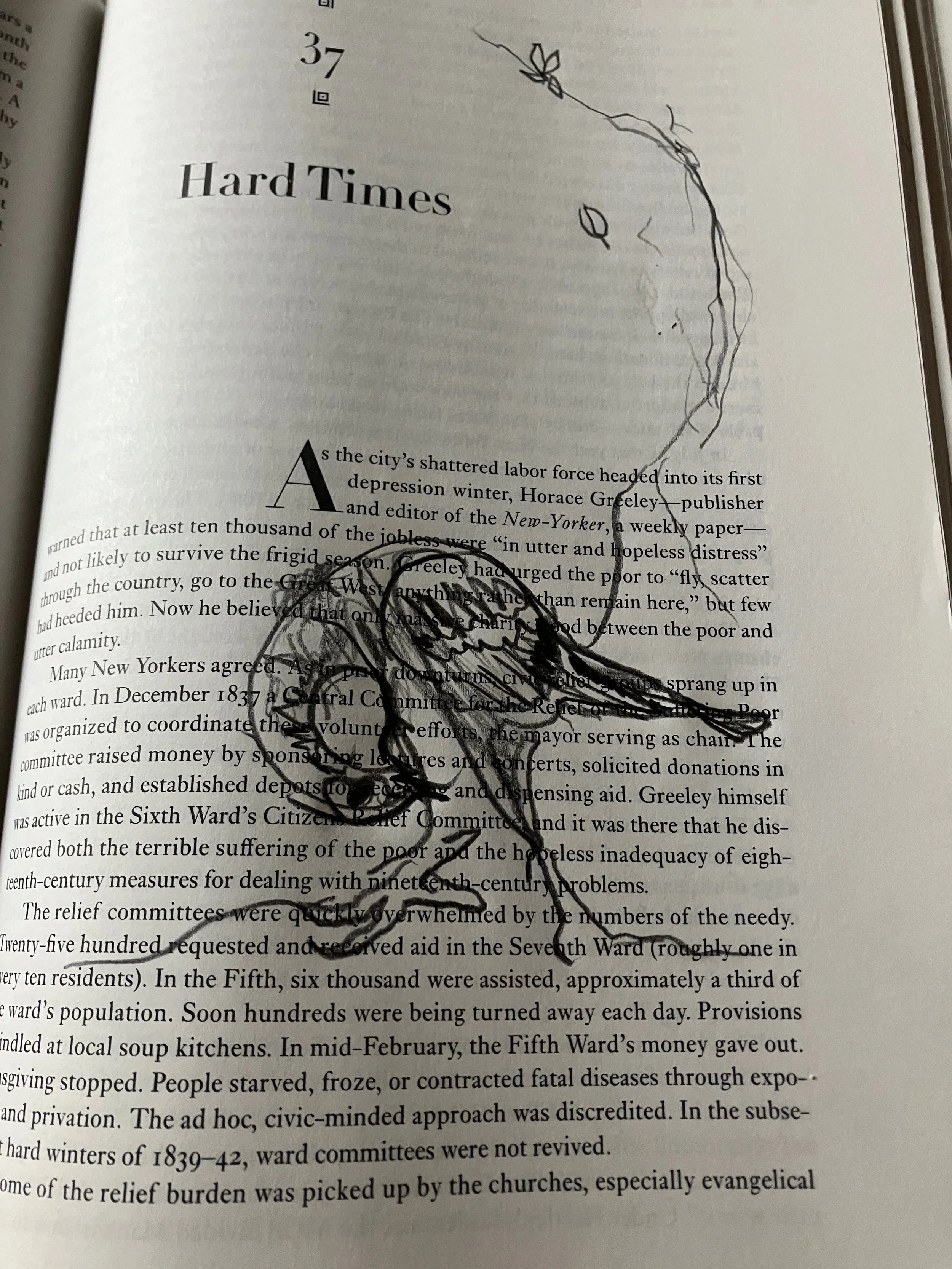  Totol:Preening and renewed,migration and keepers of cycle