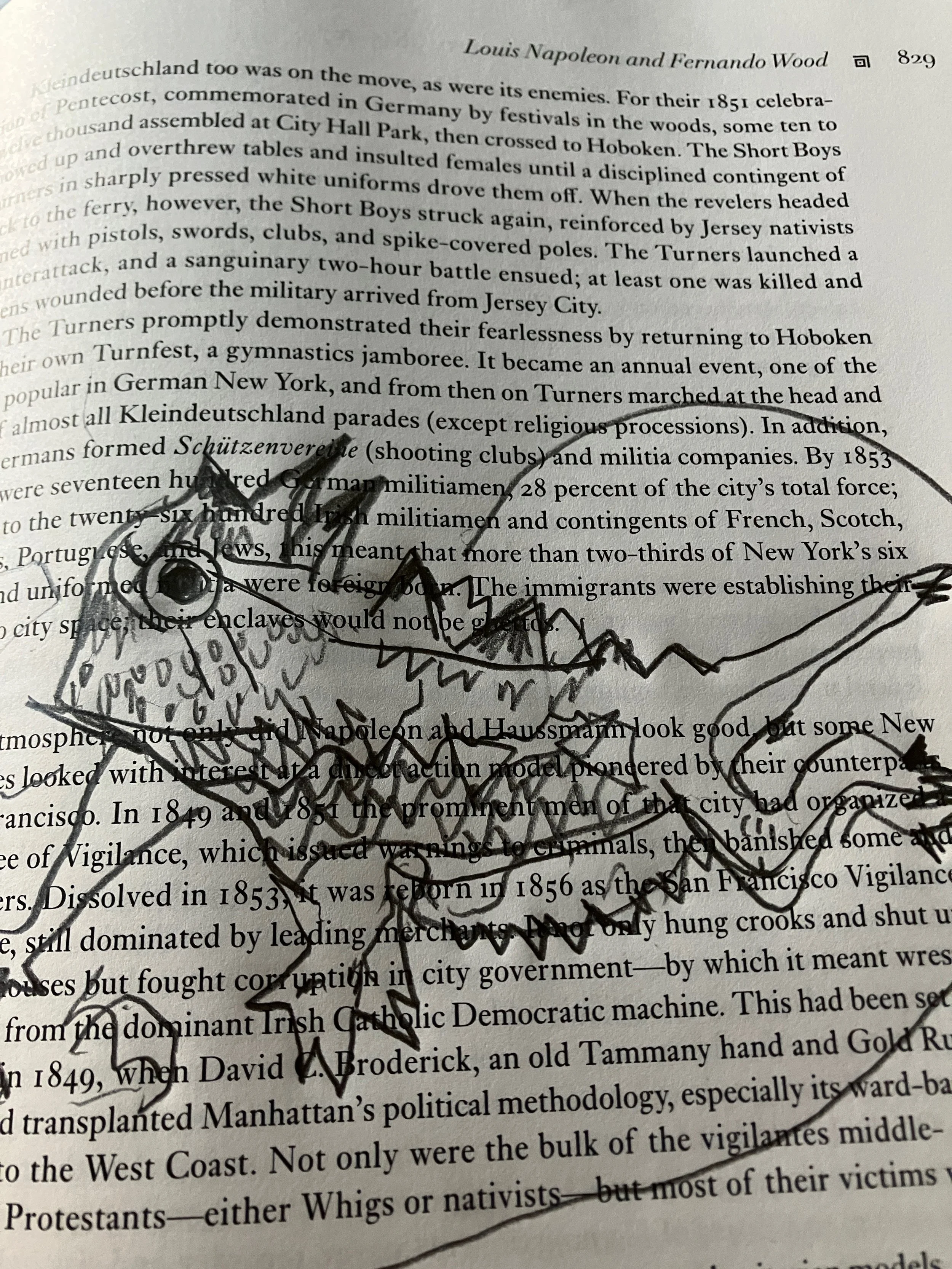 Cuetzpallin tezonitli- Desert Survivor, resilient trickster, transformation