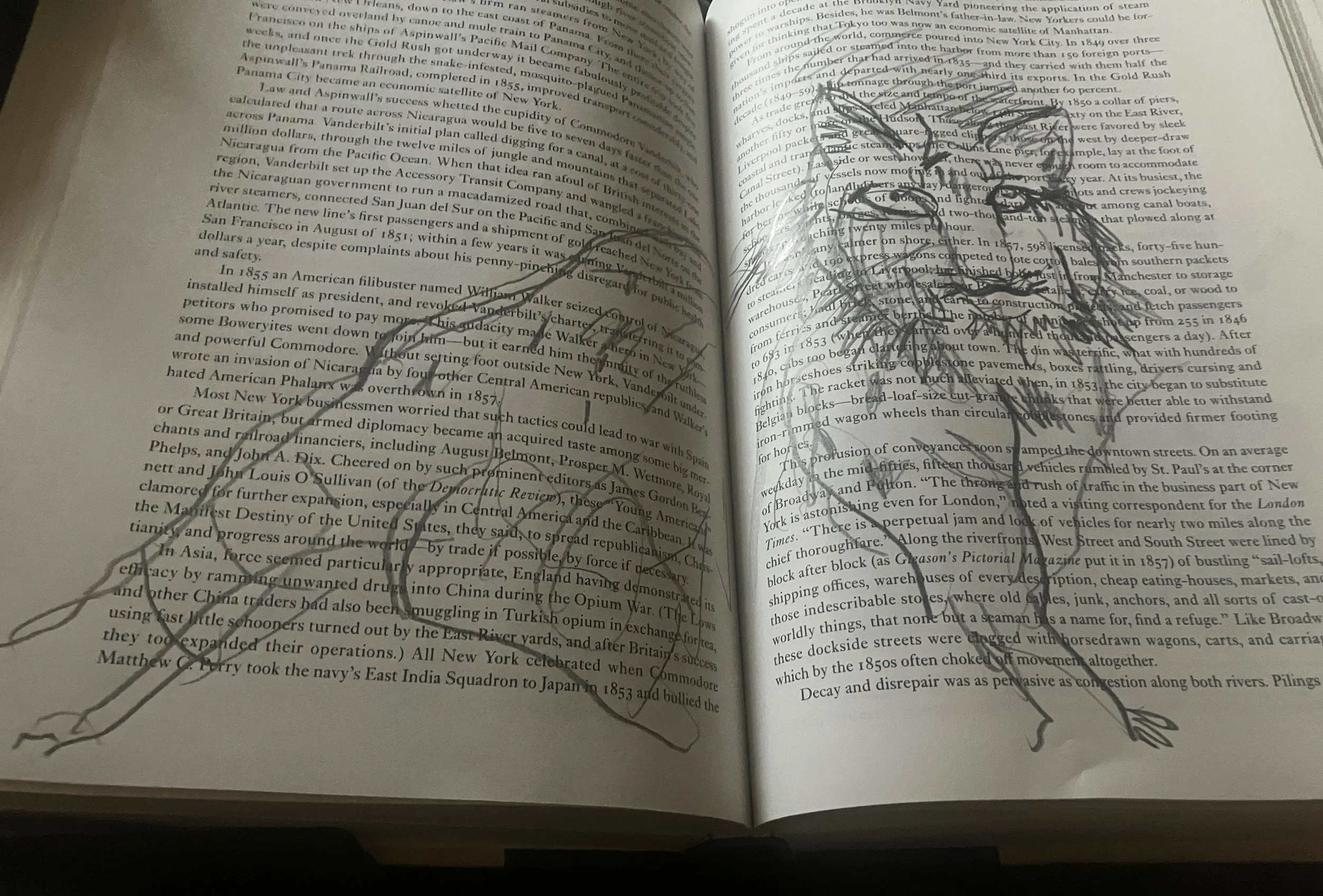 Ocelotl-guerilla fighter, shape shifter