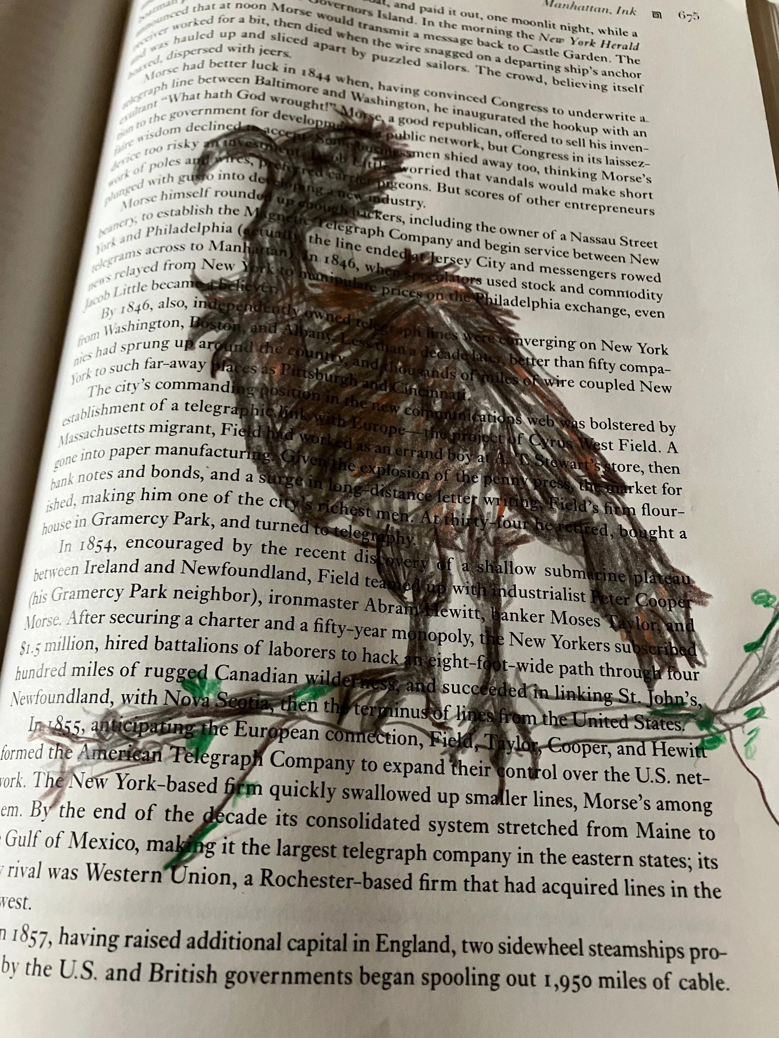 Cozcacuauhtli- sacred recycling, psychic witness