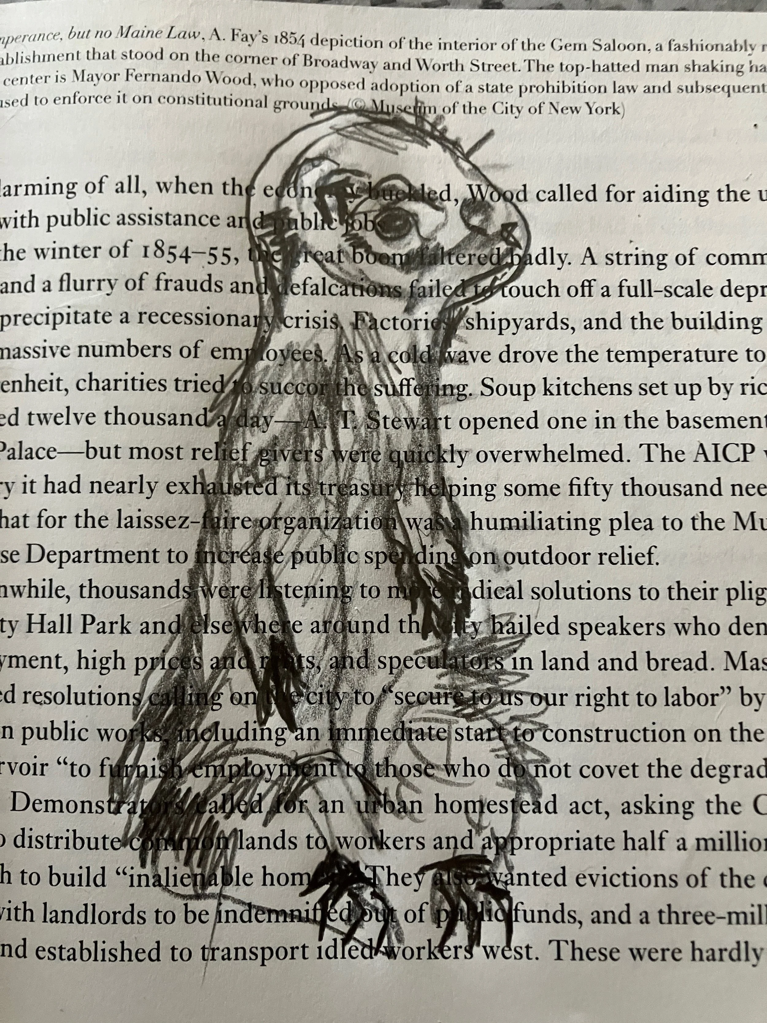 cuetlachtli-sly canine, thin sharp quick 