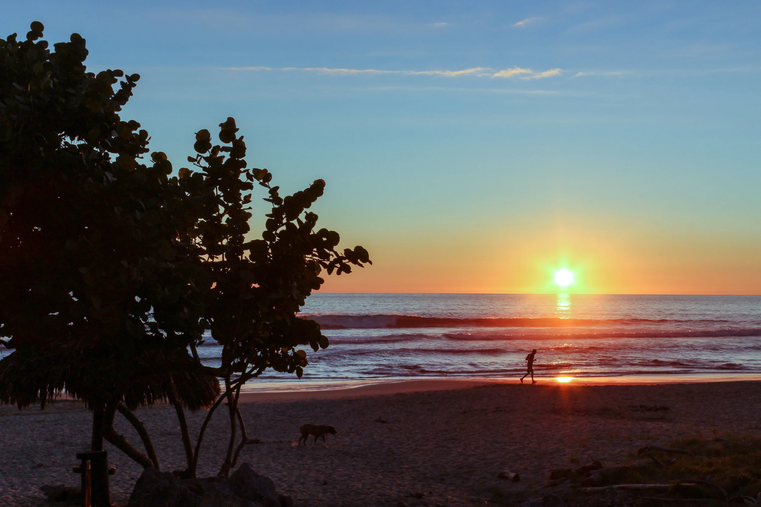 Sunset Runner