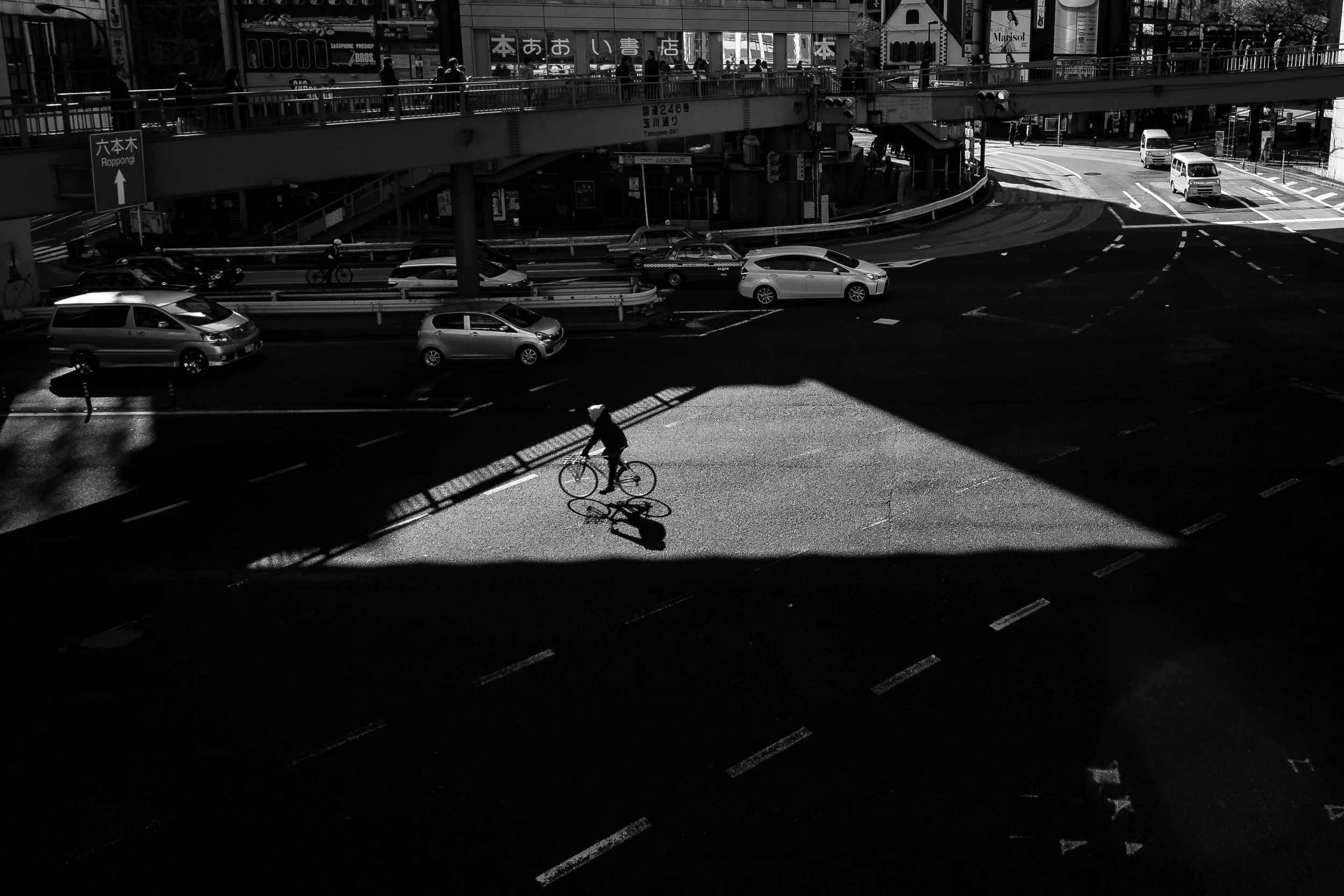 246Biker.jpg