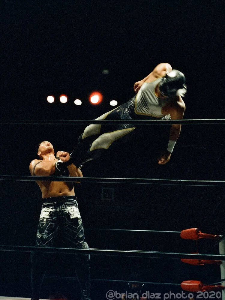 Wrestle1
