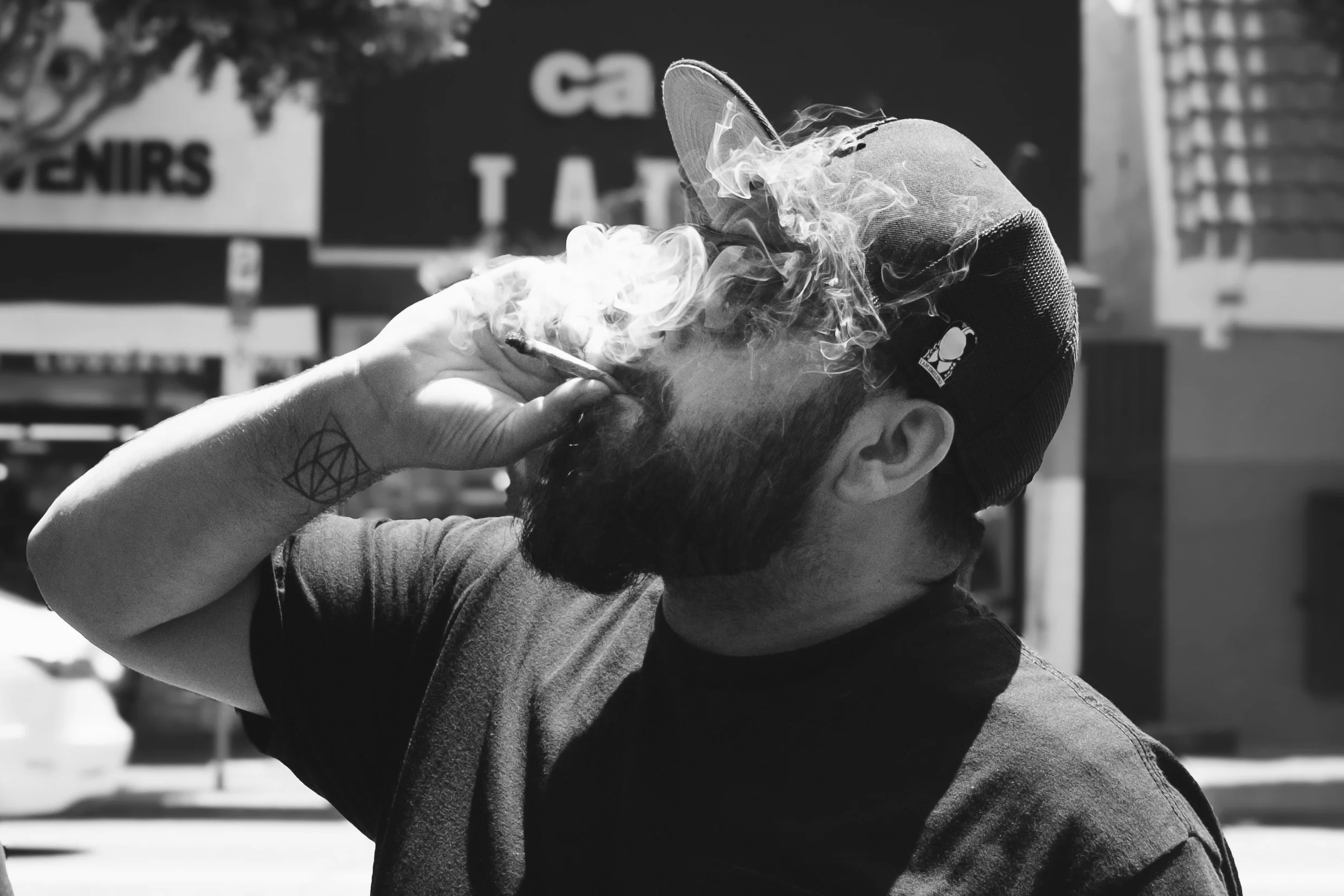 Still Smokin' // Hollywood, CA