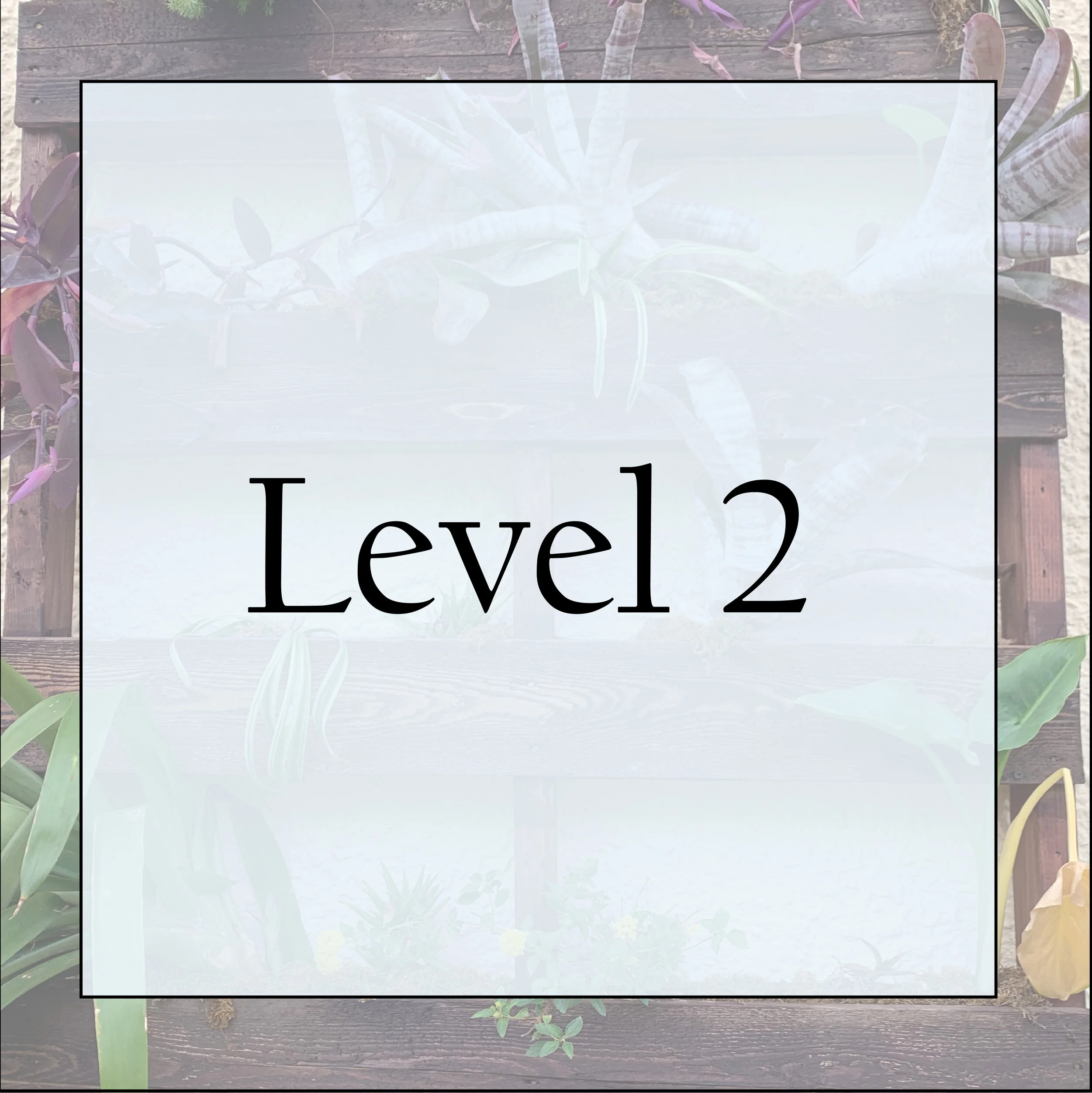 level 2-01 4.jpg