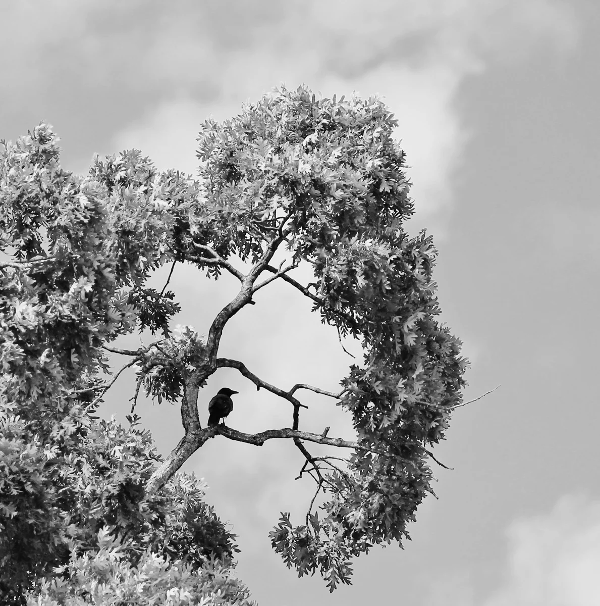 2014-10-11 001.jpg