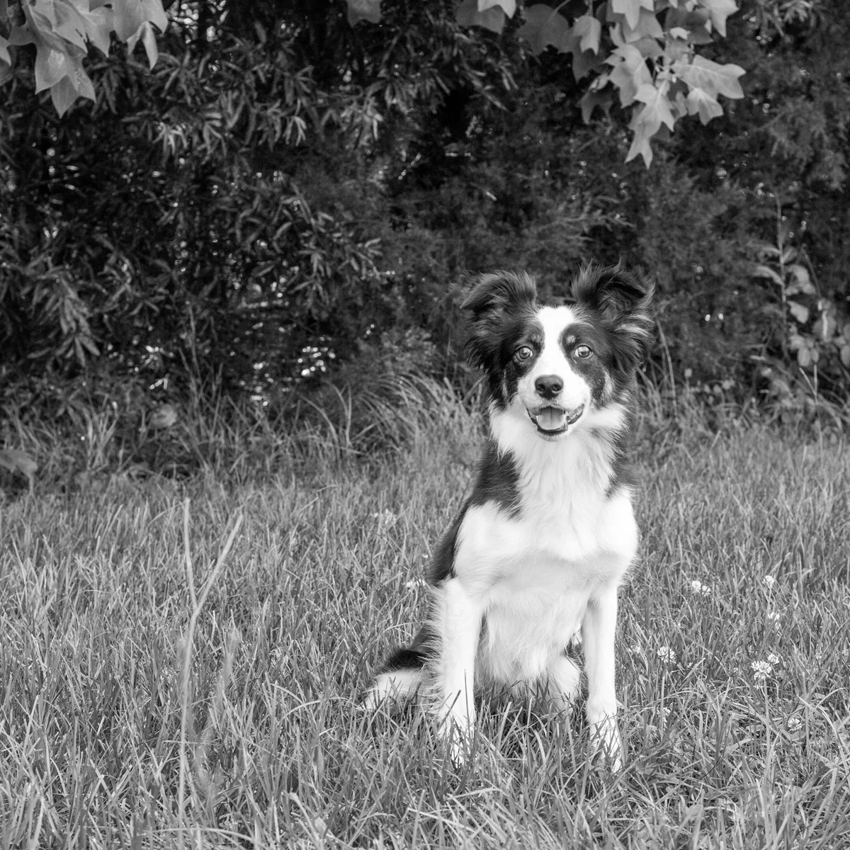 ThomasT_portfolio_044.jpg