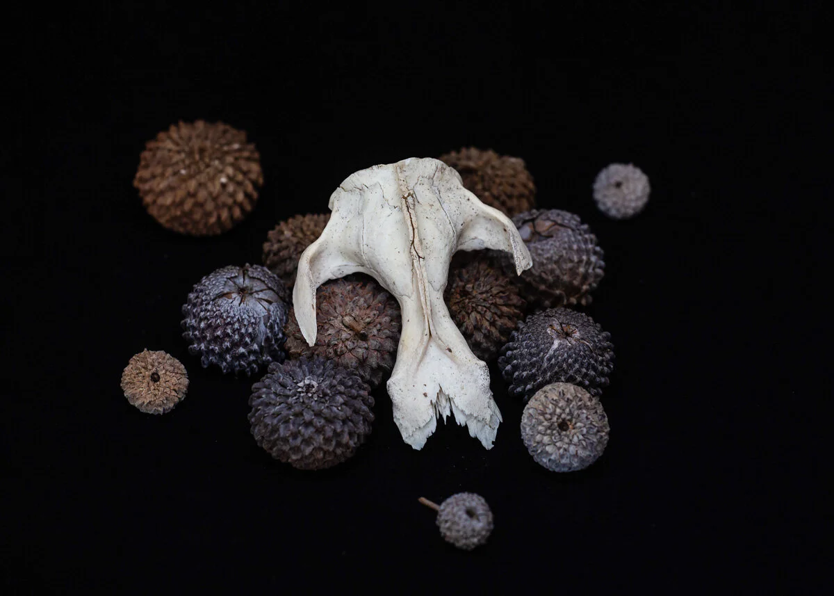 lo res jpgs for web_17.JPG