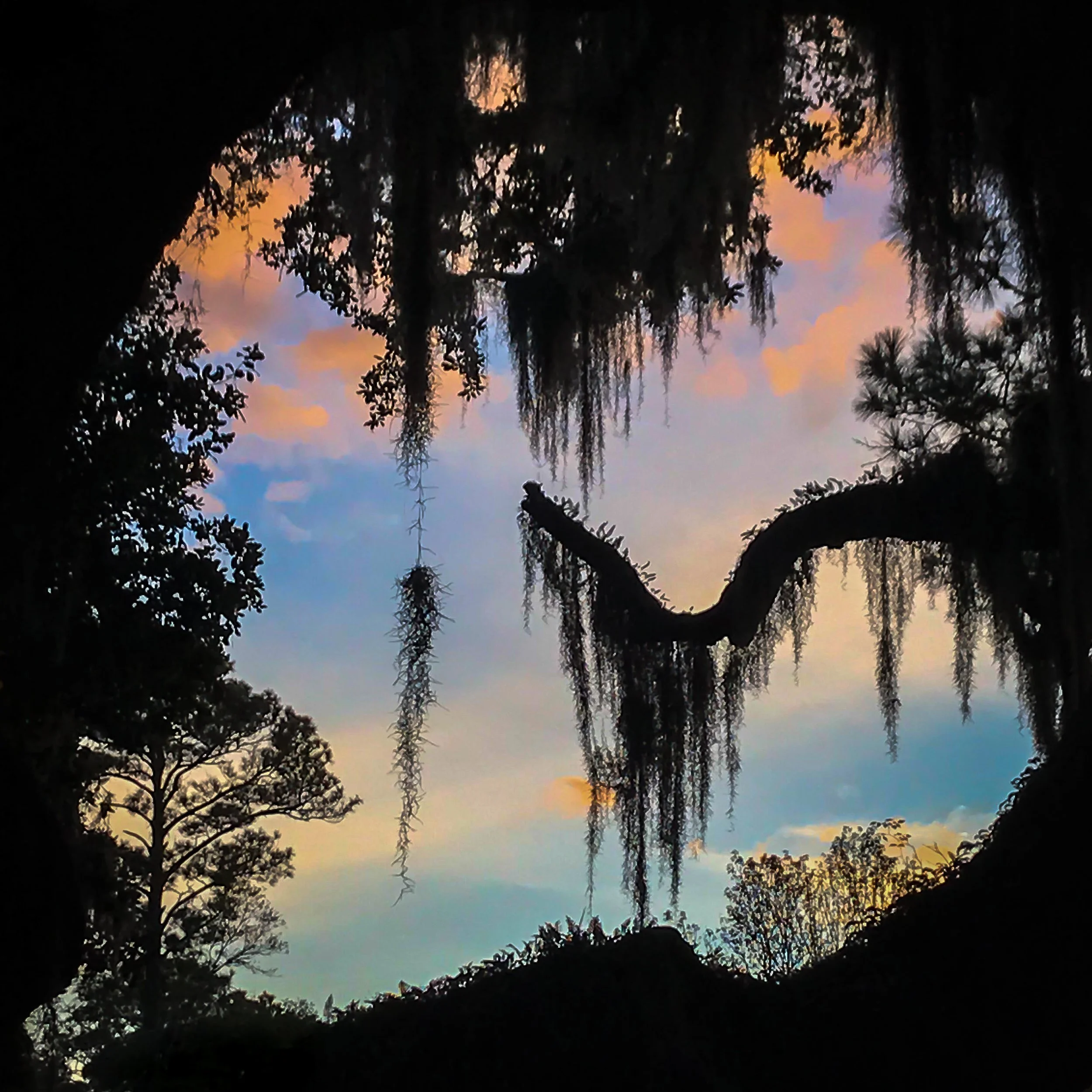 picks for web_23.JPG