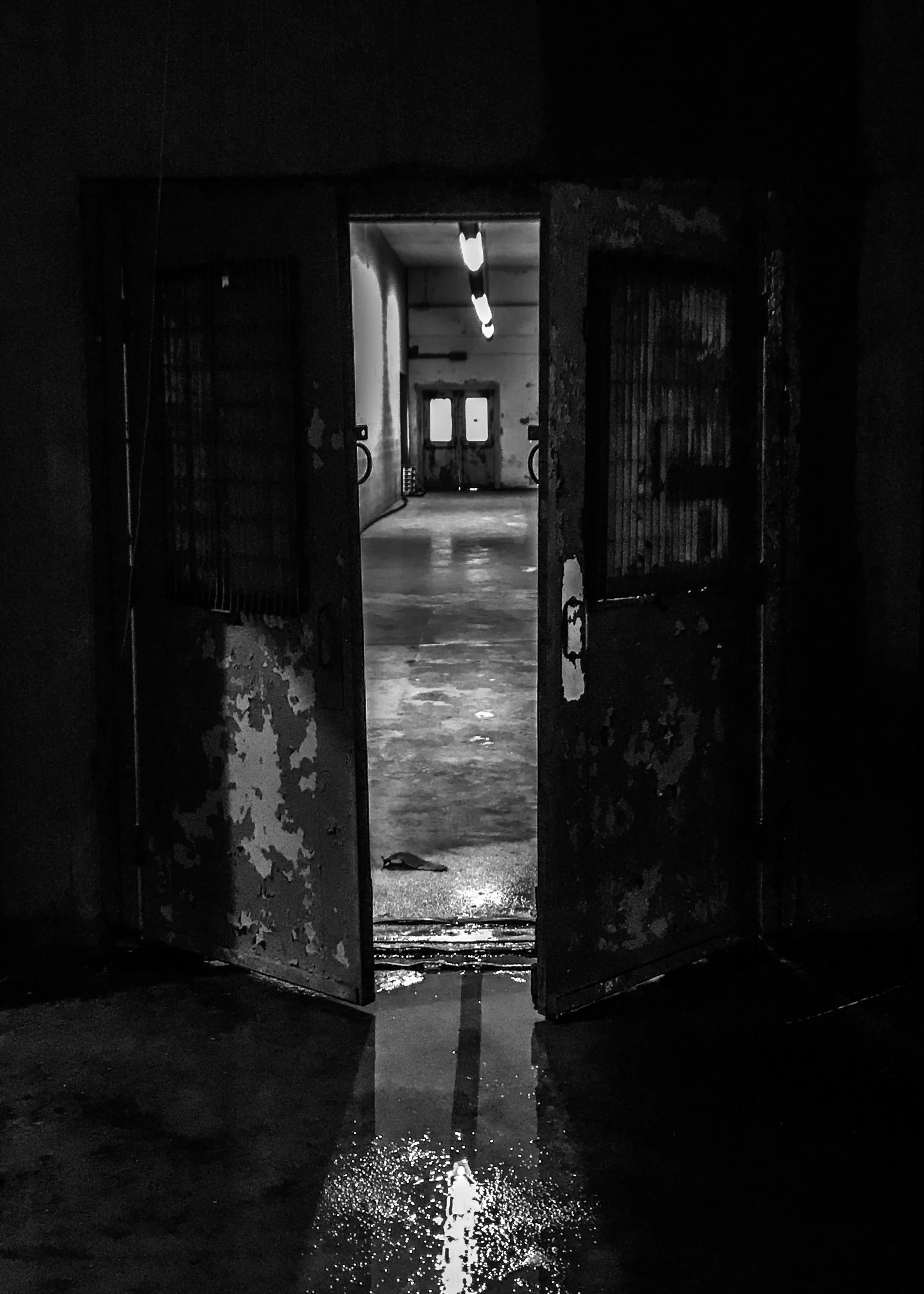 picks for web_59.JPG