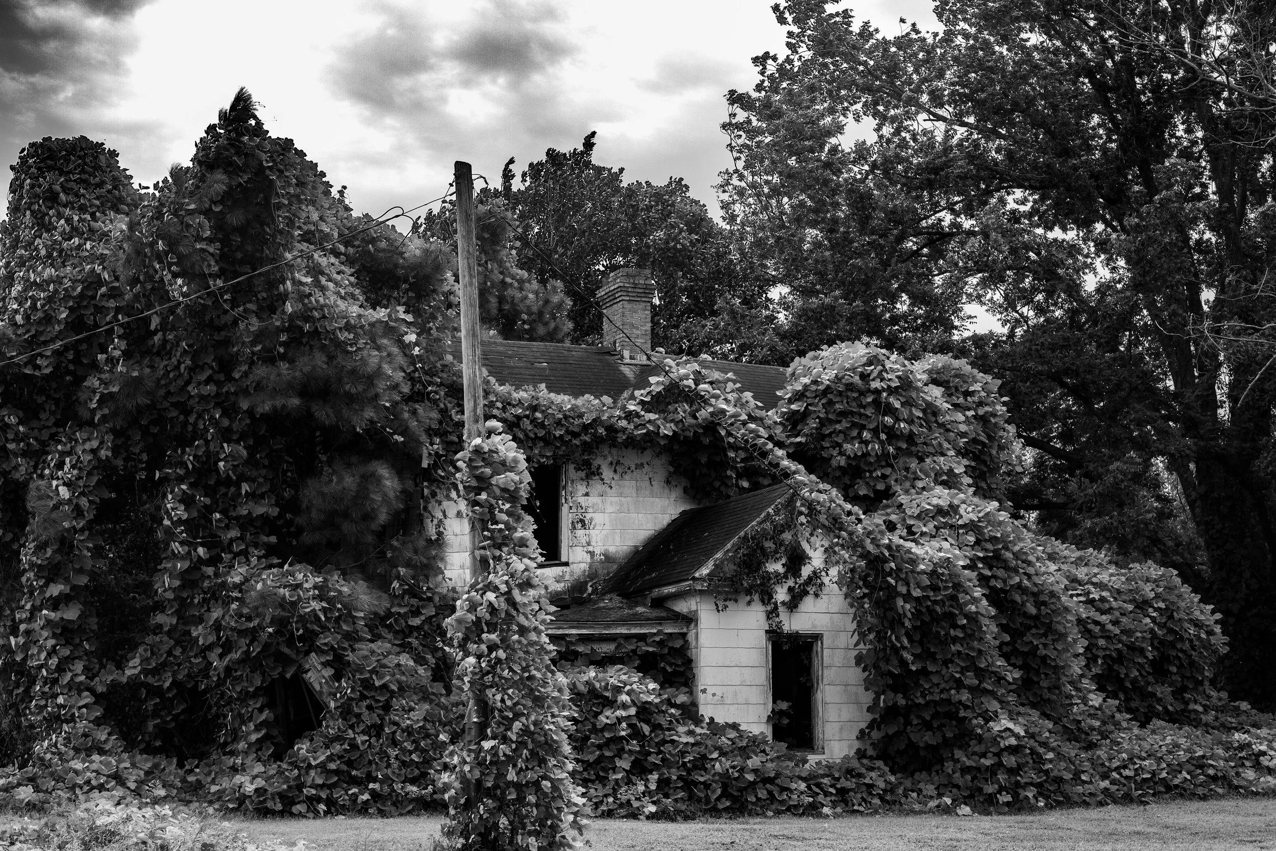 picks for web_38.JPG