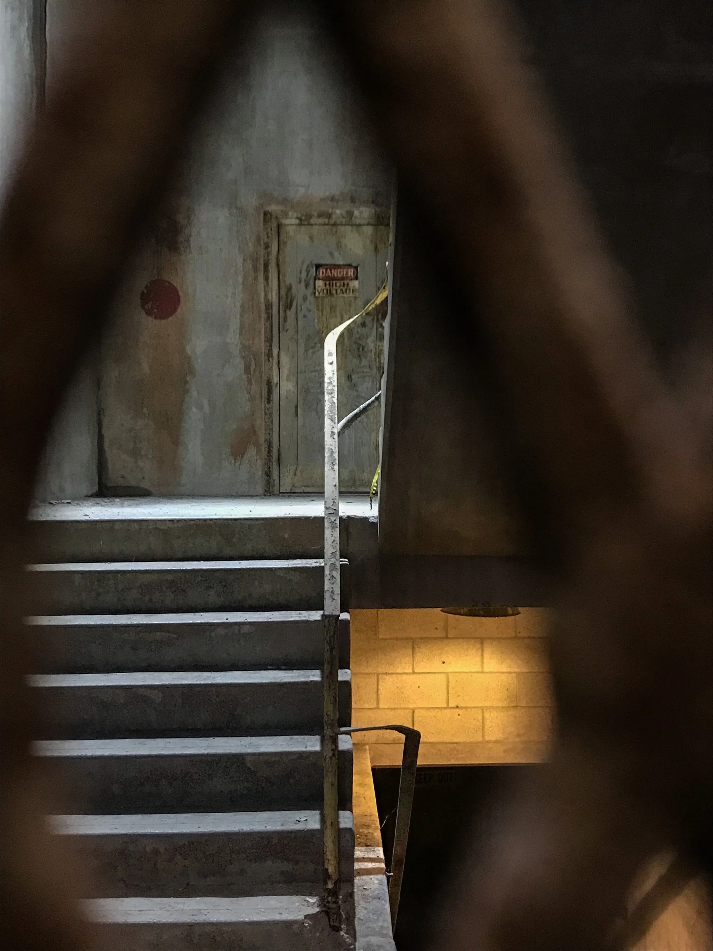 picks for web_60.JPG