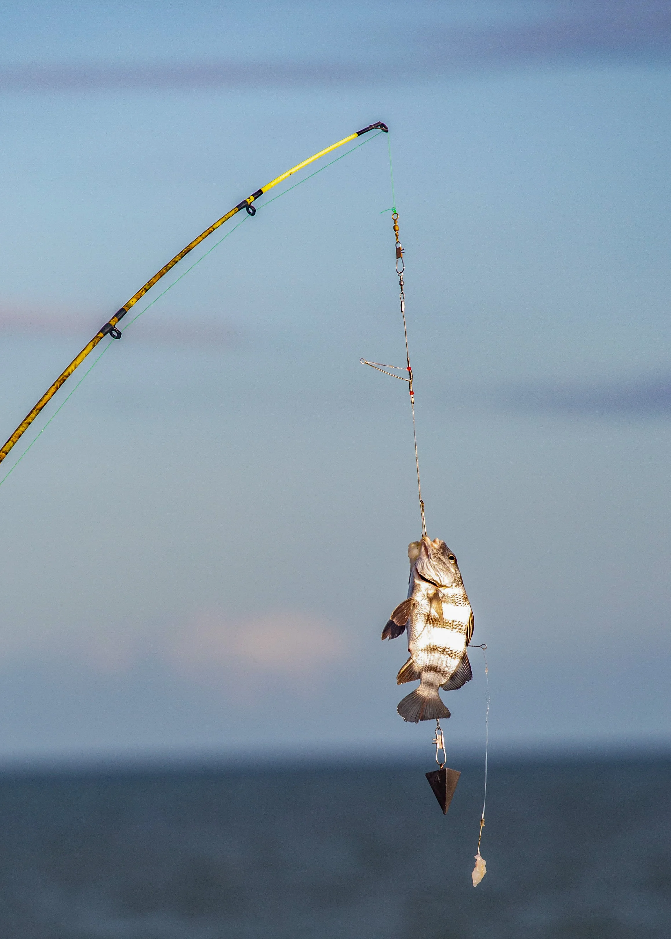 picks for web_53.JPG