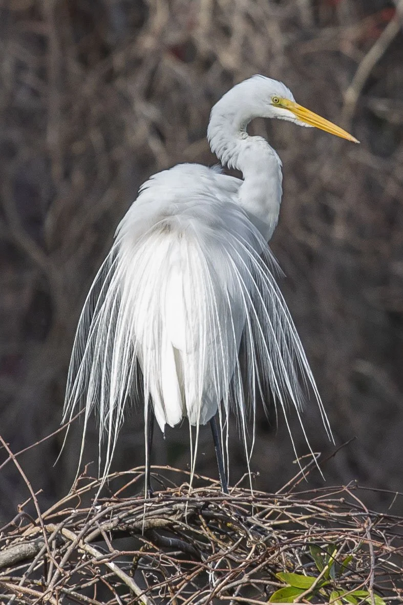 Finals_Airlie_mar 2_2024_7.jpg