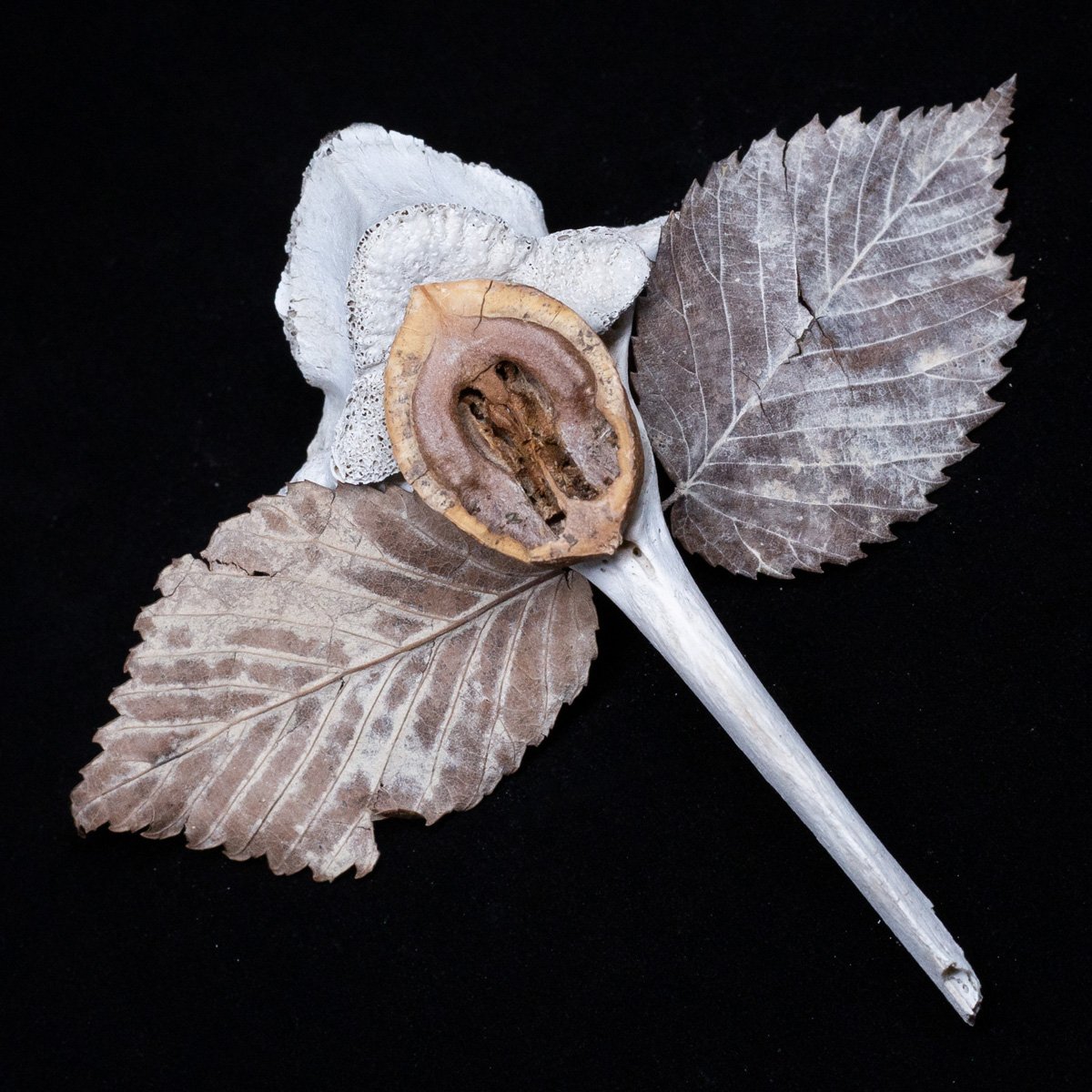 Finals_Black Box_Mar 12_2026_2.jpg