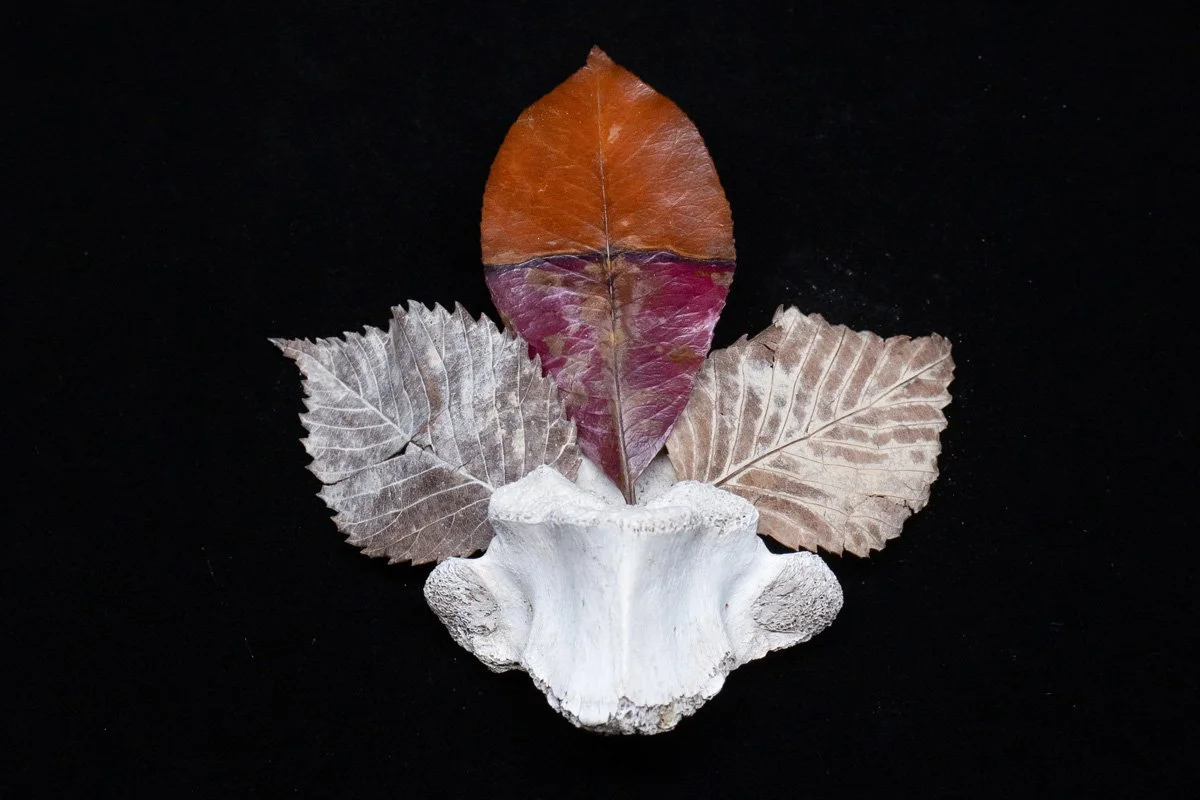 Finals_Black Box_Mar 12_2026_6.jpg