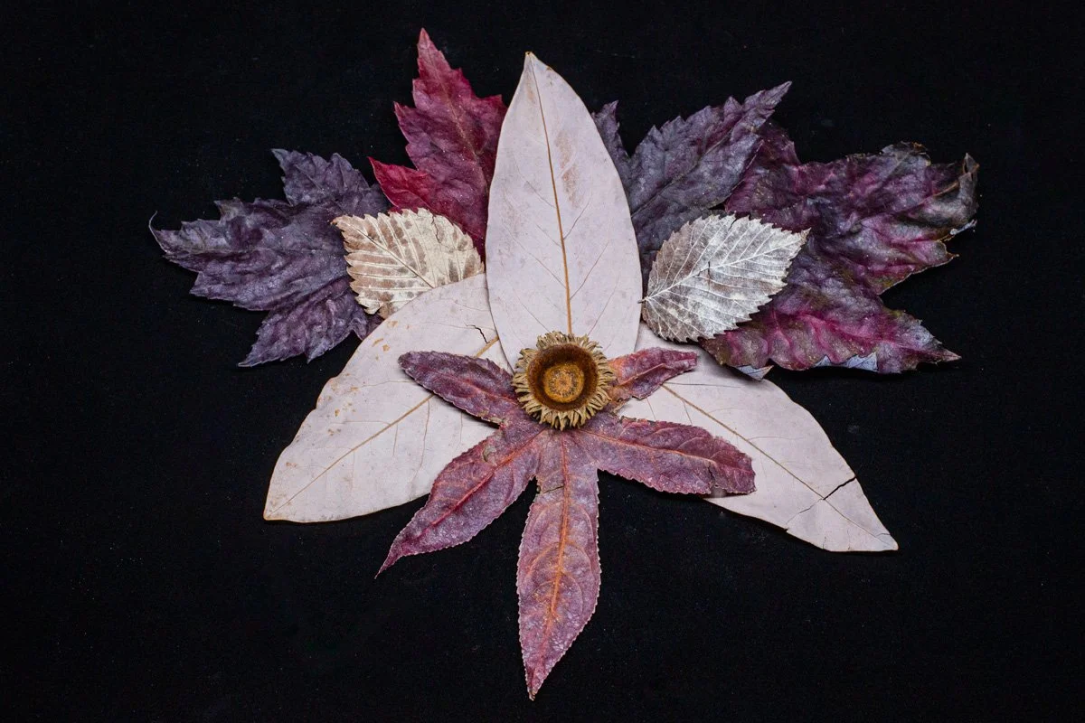 Finals_Black Box_Mar 12_2026.jpg