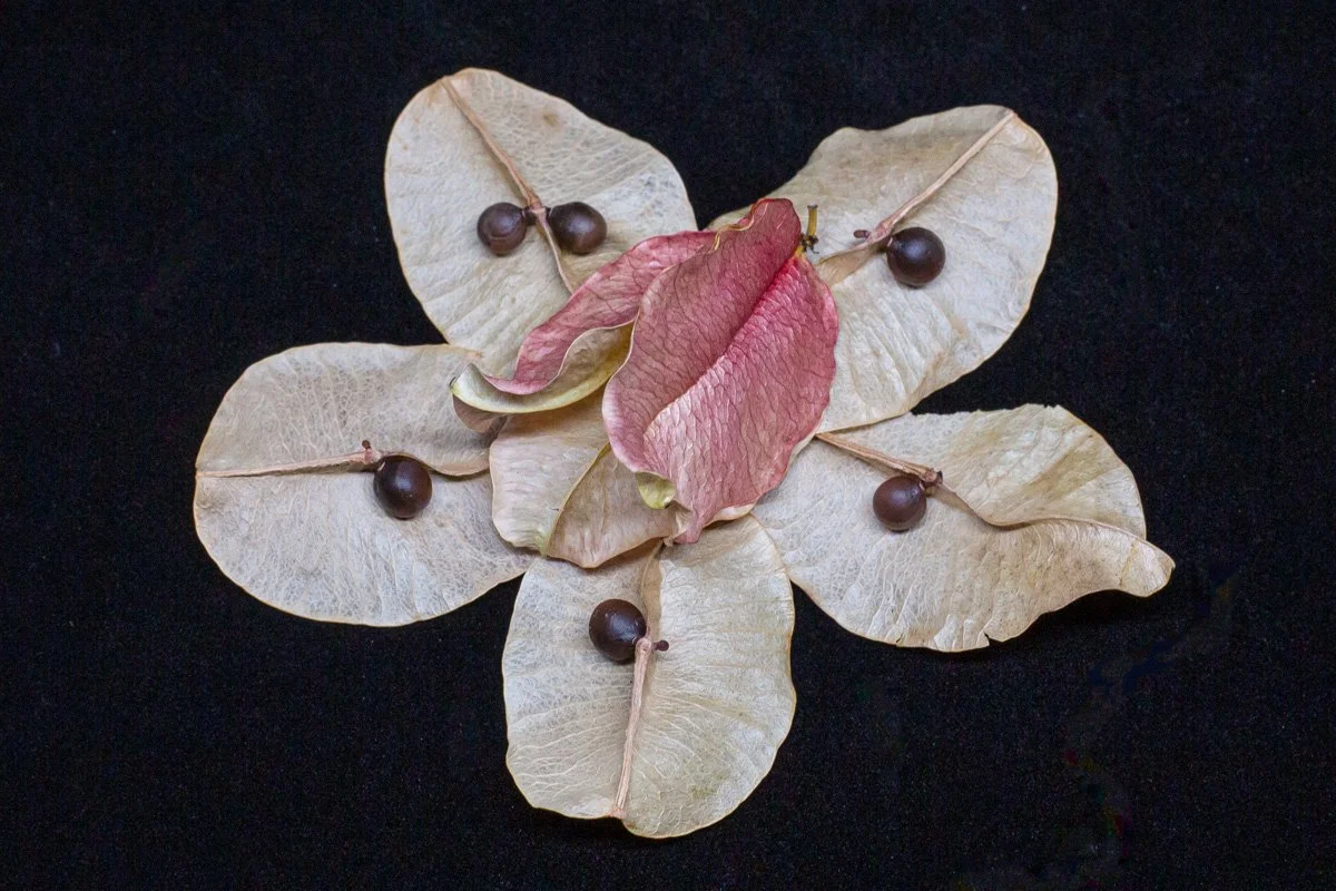 Finals_Black Box_Mar 12_2026_9.jpg