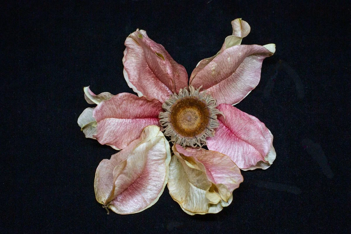 Finals_Black Box_Mar 12_2026_10.jpg